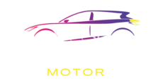 Officina Willy Twintech Motor